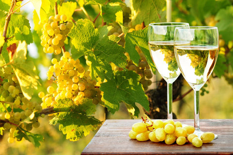 white grapes and 2 glasses of riesling wine on a table
