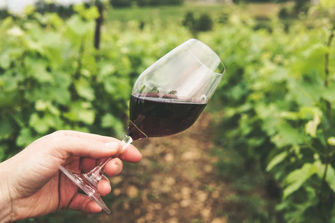 a hand holding a glass full of wine on a grape field