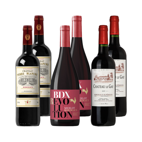 6 bottle Bordeaux Red Wine Mix Case