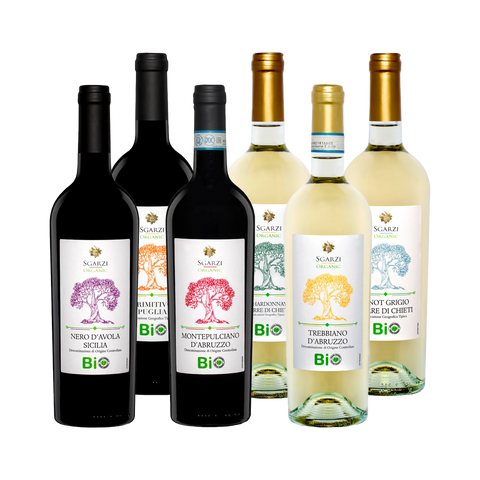 6 bottles of Organic Italian Wine Mix Case